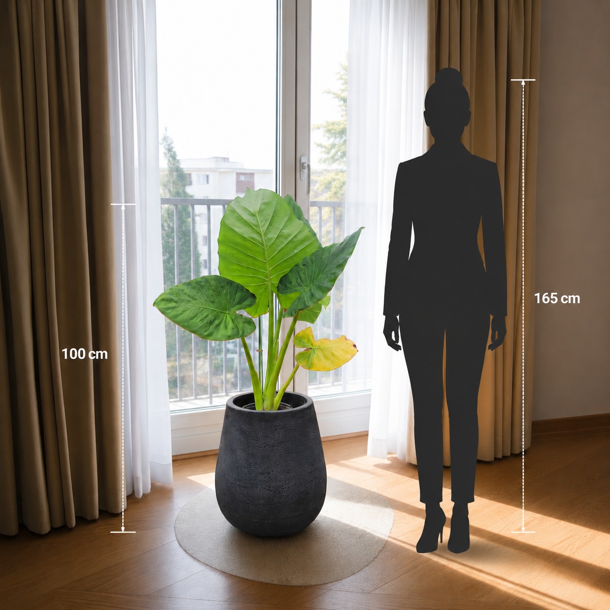 Rayun Mate Rustica 40 cm + Alocasia Grande 60 cm - Image 2
